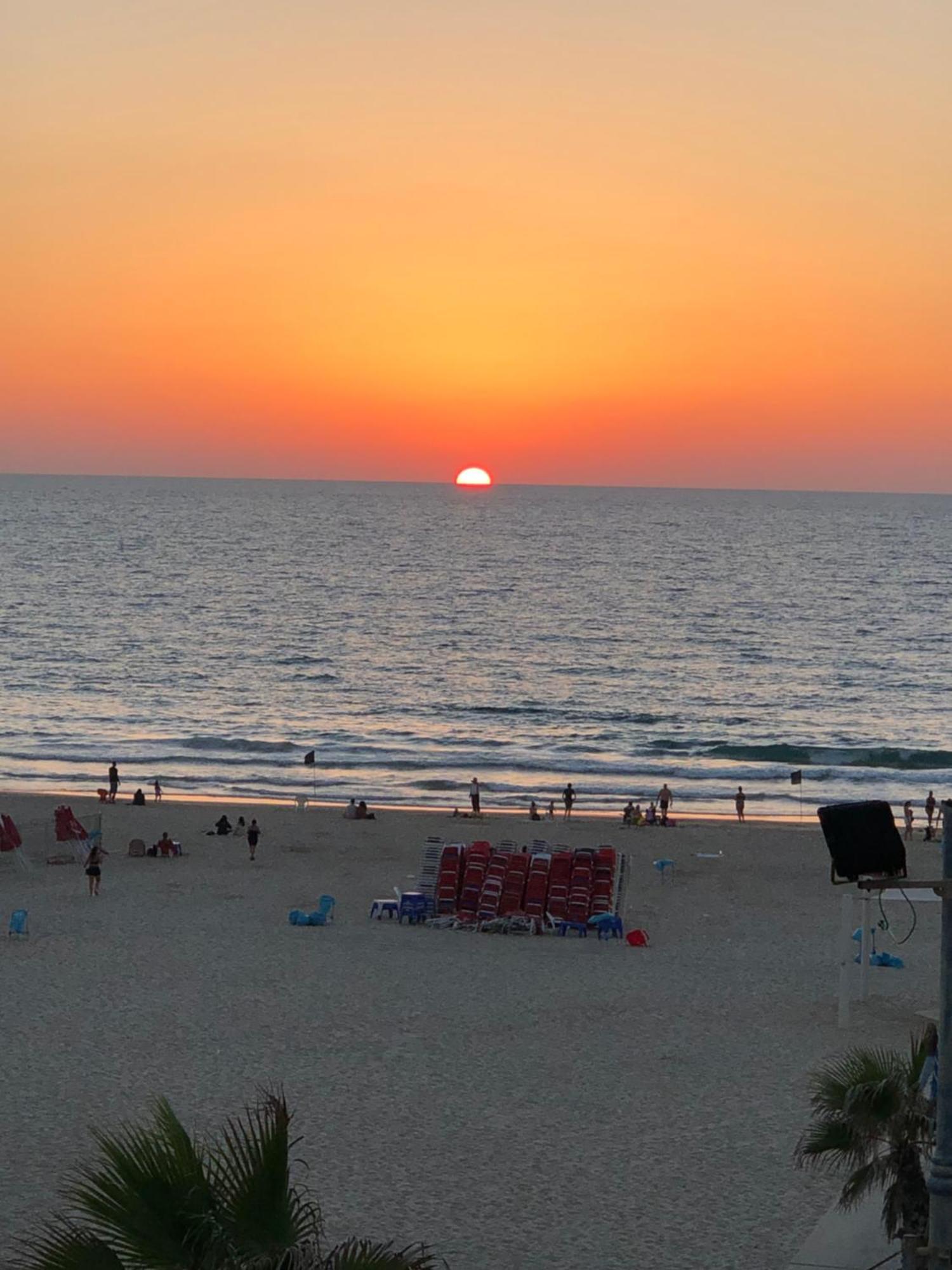 תמר על הים Daire Bat Yam Dış mekan fotoğraf